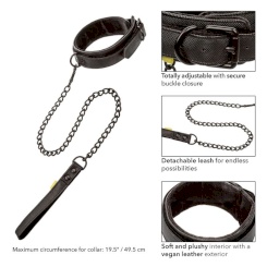 Calex Boundless Collar And Leash