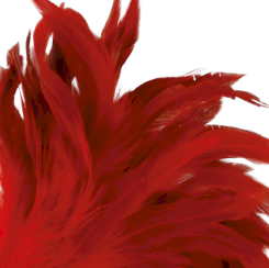 Darkness Red Feather  24cm