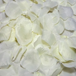 Diablo picante - 100  valkoinen petals