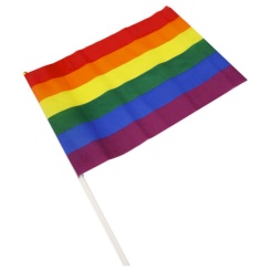 Pride - Lgbt Small Table Flag