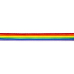 Pride - Lgbt Flag Strip