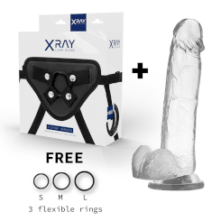 Xray Harness + Cock With Balls  22cm X...